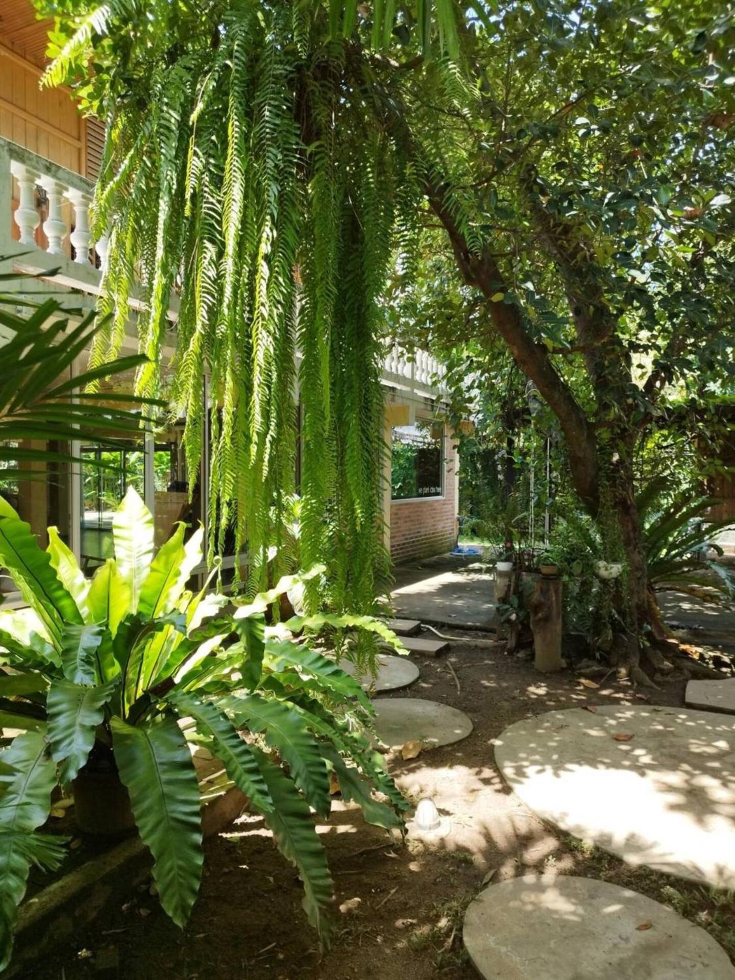 מלון צ'יאנג מאי Atelier 36 מראה חיצוני תמונה